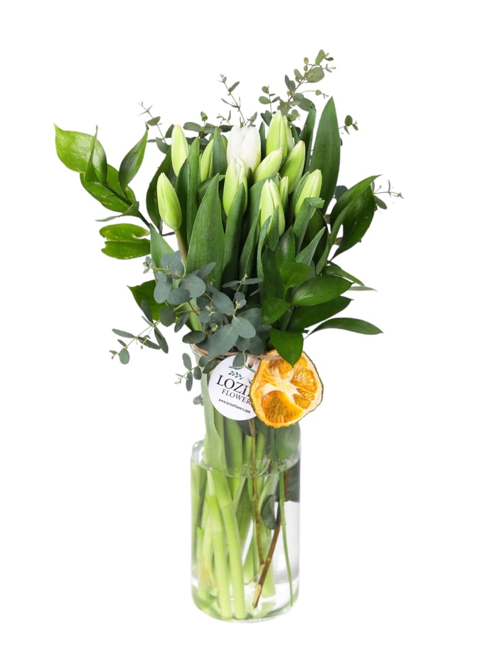 Buds of White Tulips