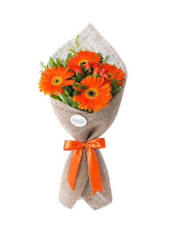 gerbera, Gerbera buketi