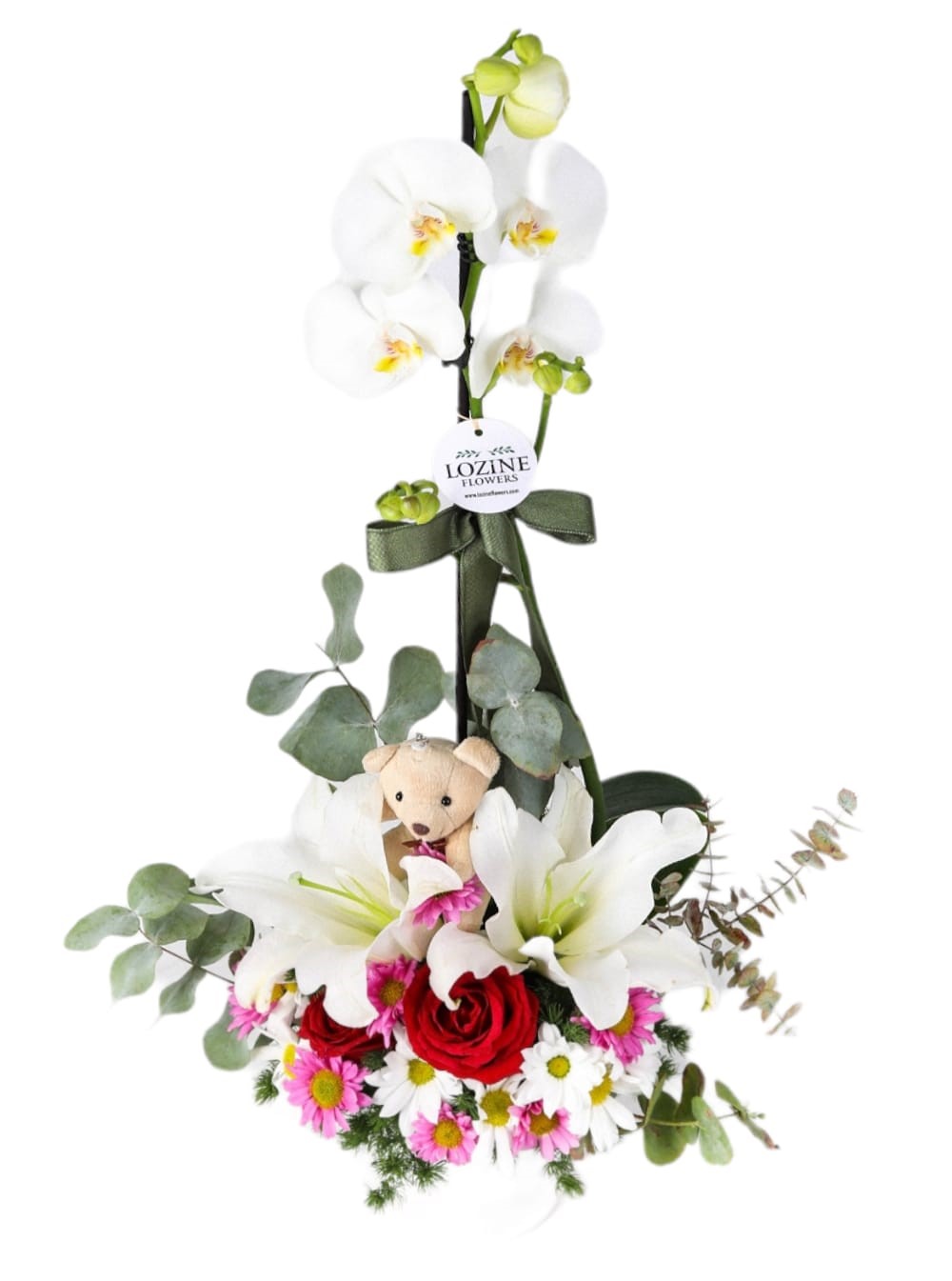 Cute Orchid Arrangement