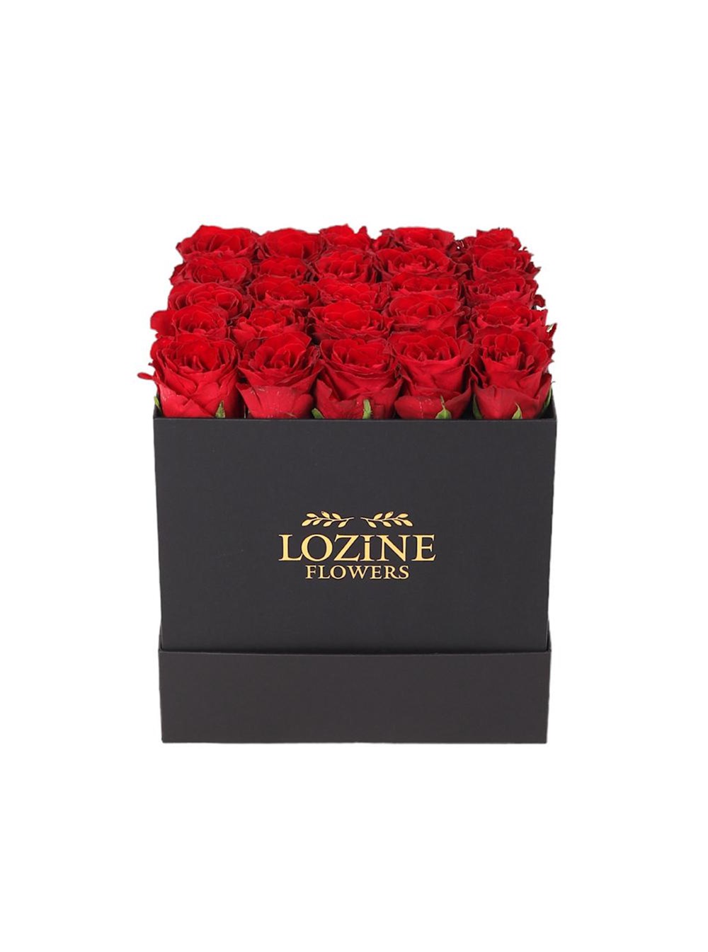 Siyah Kare Kutuda Kırmızı Güller