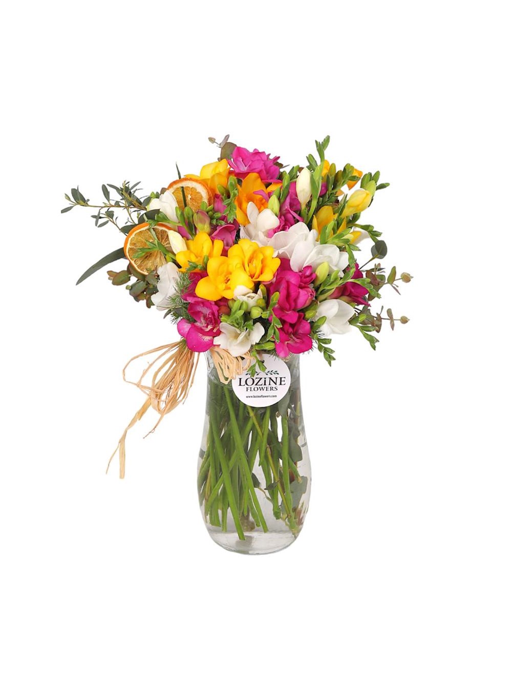 Renk Karnavalı Frezyalar