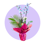 Orkideler kategori ikonu