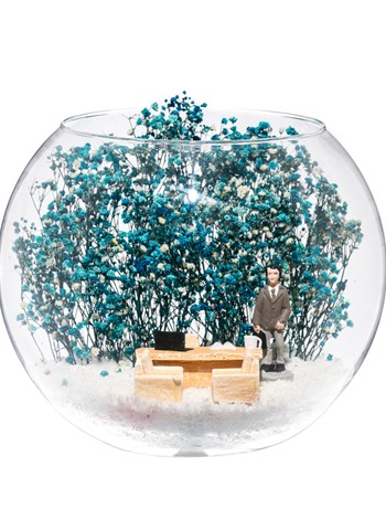 Teraryum Yeni İş Tebrik - Turkuaz - Vizon Takım Elbiseli