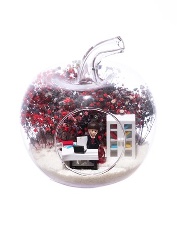 Teraryum Mini Yeni İş Kadın Kumral-Cipsomiks