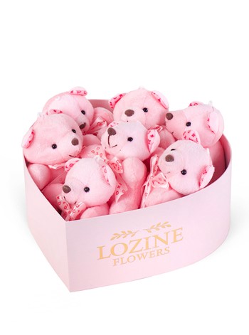 Pembe Kalp Kutuda Pembe Ayıcıklar