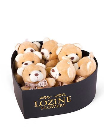 Siyah Kalp Kutuda Ayıcıklar