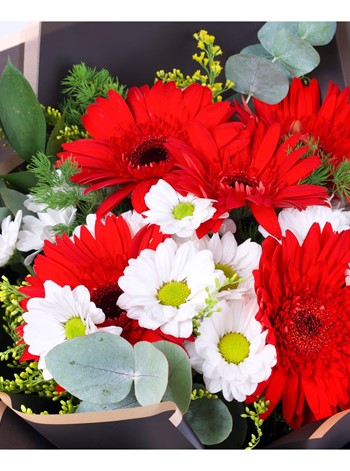 Kırmızı Gerbera Ve Beyaz Papatya Buketi