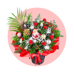 Kokina kategori ikonu