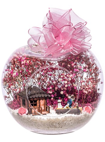 Teraryum Rüya Gibi Evimiz