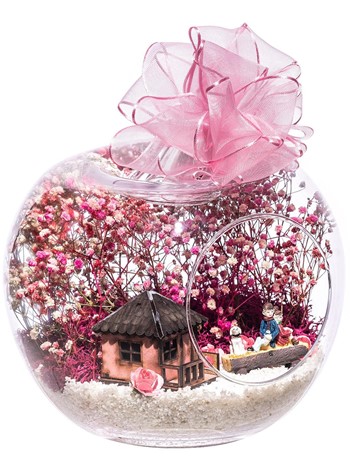 Teraryum Rüya Gibi Evimiz