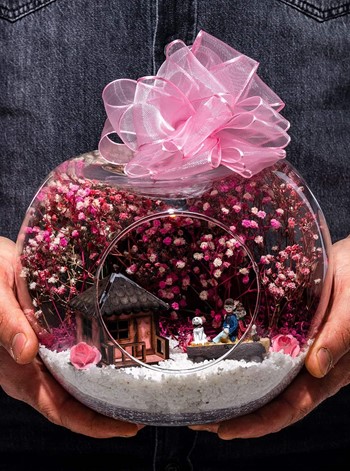 Teraryum Rüya Gibi Evimiz