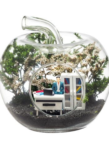 Yeni İş Tebrik Mini-Erkek