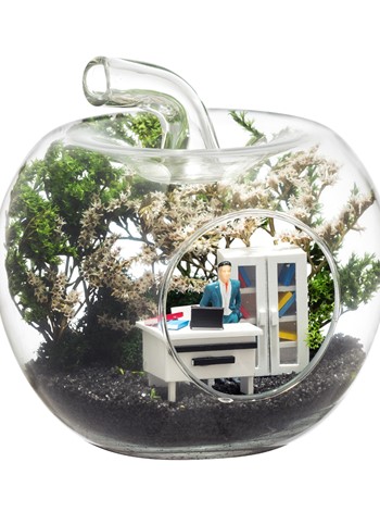 Yeni İş Tebrik Mini-Erkek