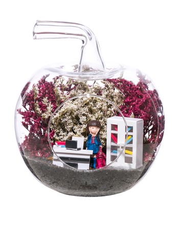 Teraryum Mini Yeni İş Kadın - Kumral