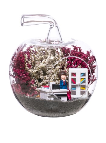 Teraryum Mini Yeni İş Kadın - Kumral