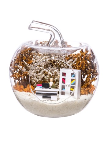 Teraryum Mini Ofis Erkek Objeli