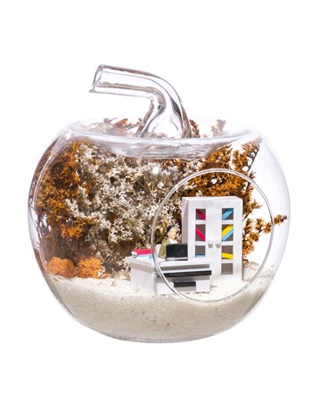 Teraryum Mini Ofis Erkek Objeli