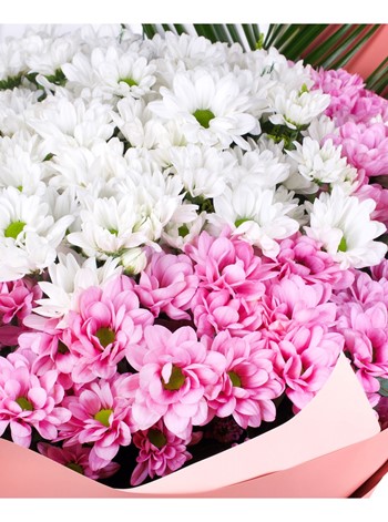 Pembe Ve Beyaz Dev Papatya Buketi