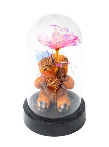 Ledli Fanusta Sonsuzluk Gülü Ve Peluş Ayı