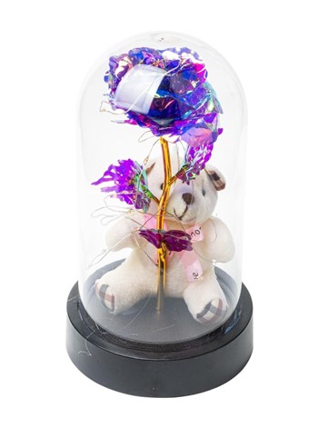 Ledli Fanusta Sonsuzluk Gülü Ve Peluş Ayı