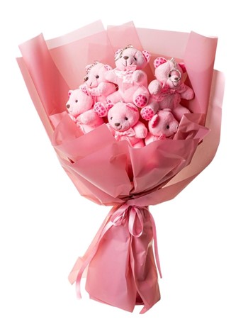 Pembe Ayıcık Buketi